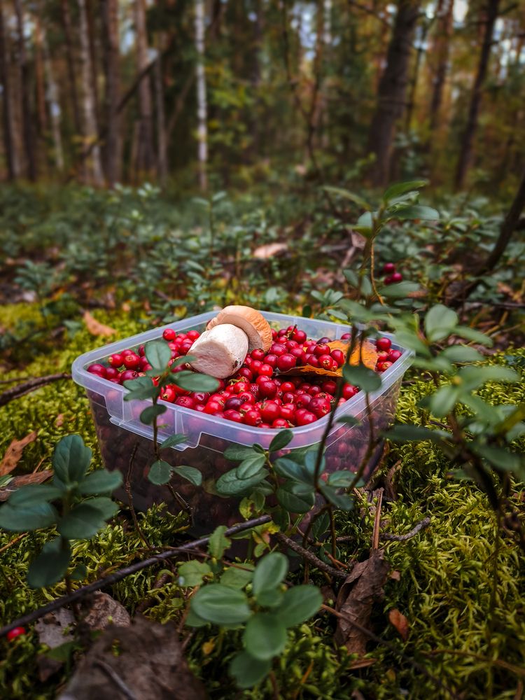 Фотография автора Александр Хухлов