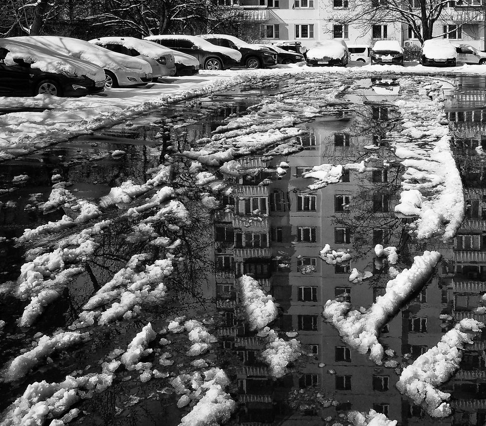 Фотография автора Елена Лаврова