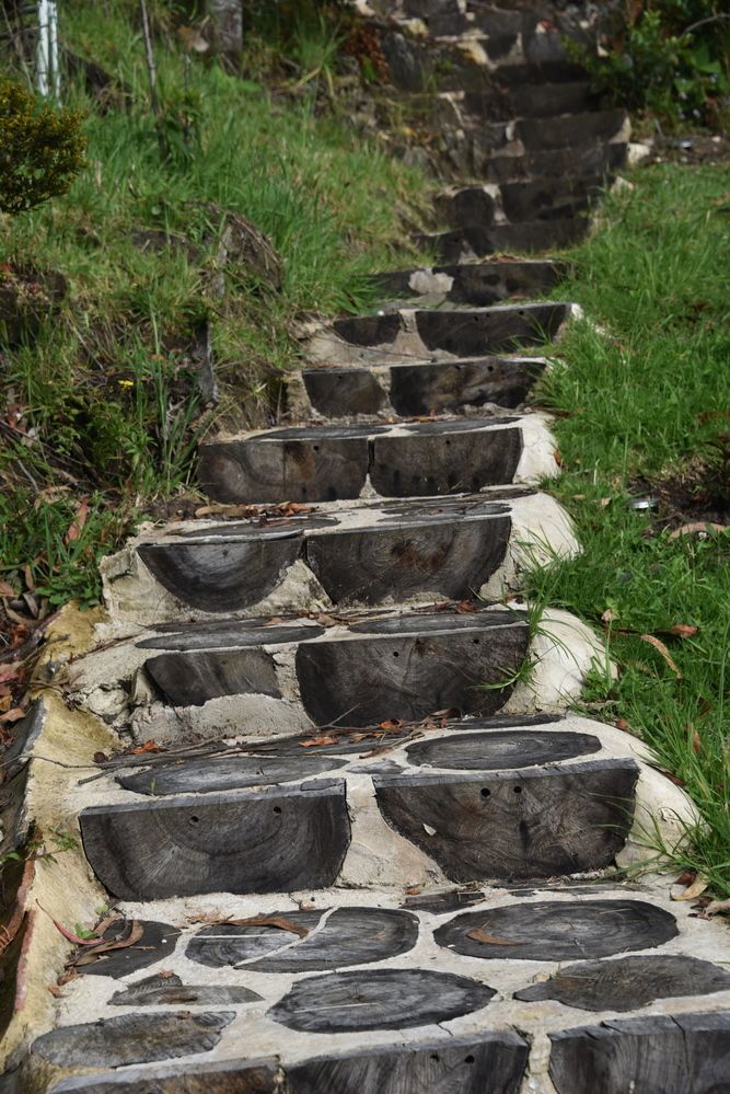 Фотография автора Camilo Martinez