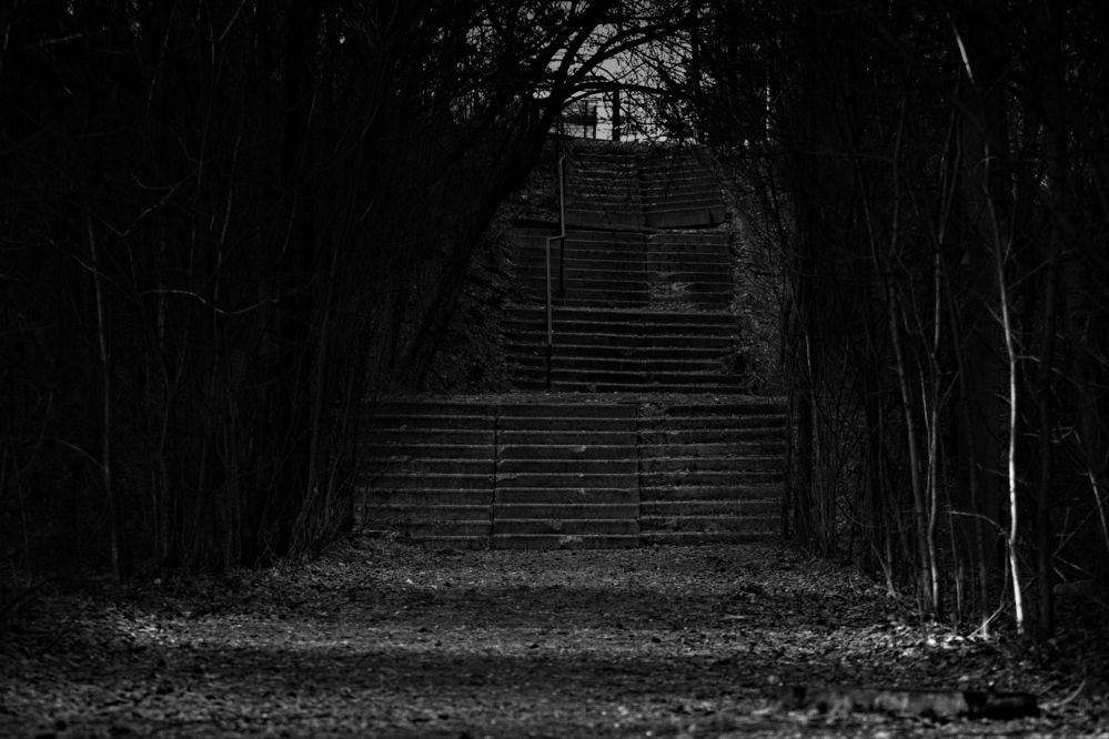 Photograph by Давид Гянджалиев