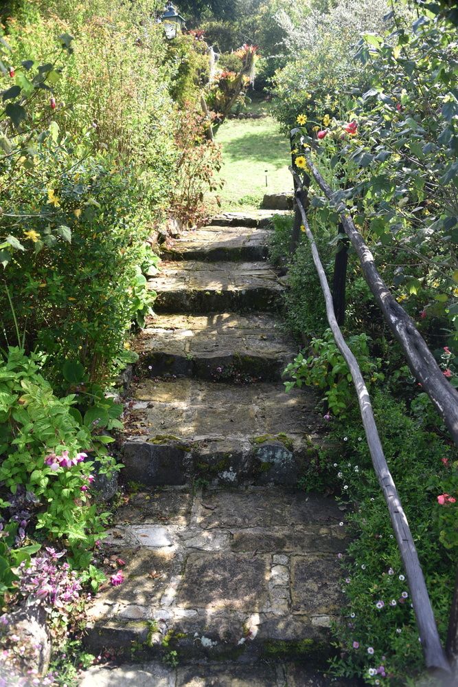 Фотография автора Camilo Martinez