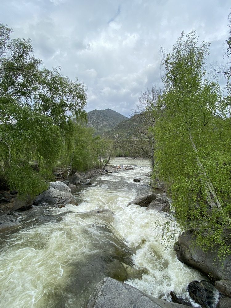 Бурлящий драйв