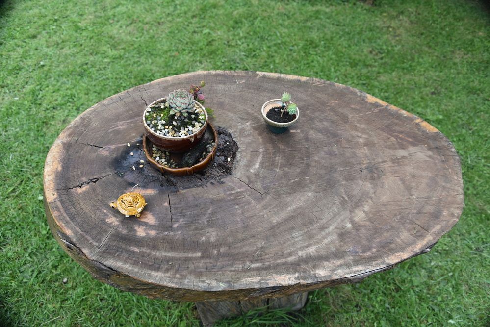 Фотография автора Camilo Martinez