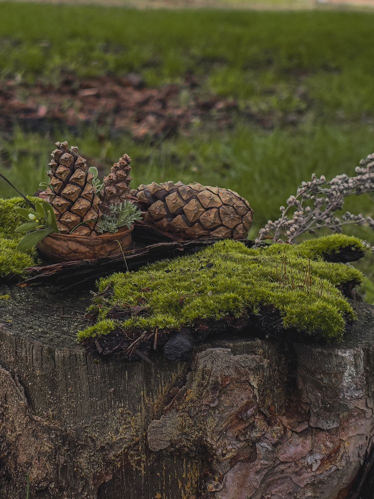 Photograph by Александра Воронина