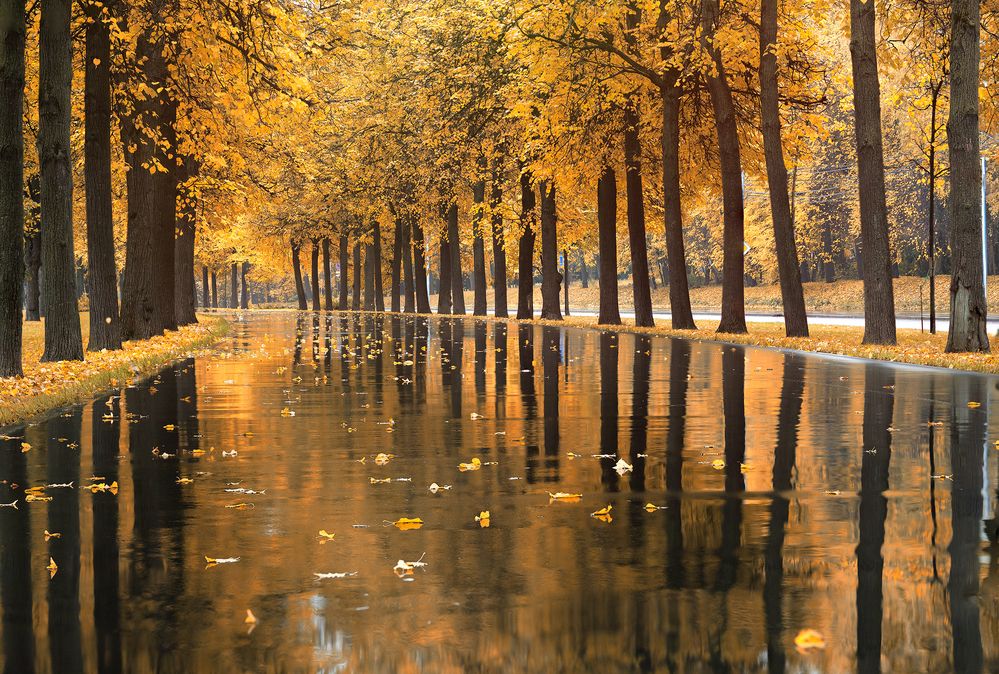 Photograph by Кочкин Владимир