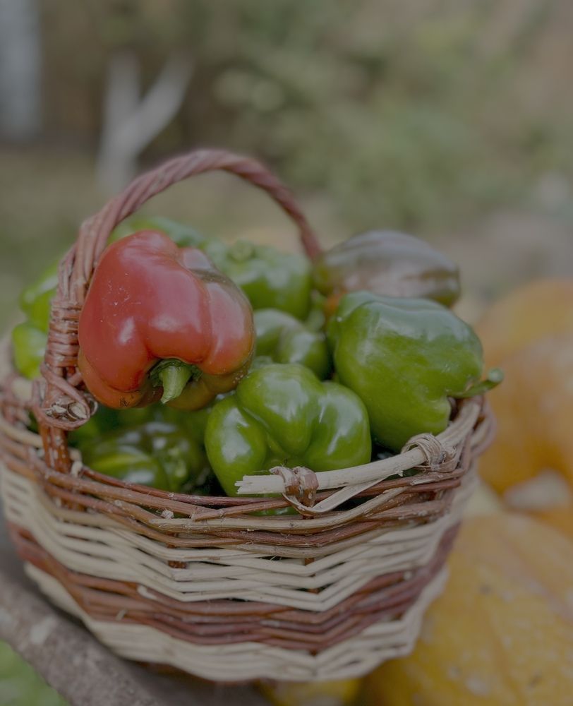 Photograph by Татьяна Михайловна