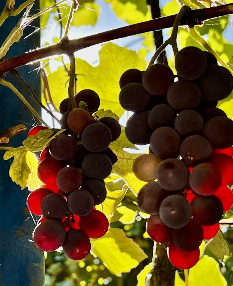 Photograph by Татьяна Михайловна