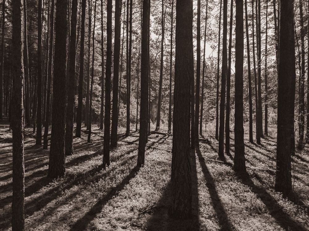 Photograph by Кирилл Сидоров