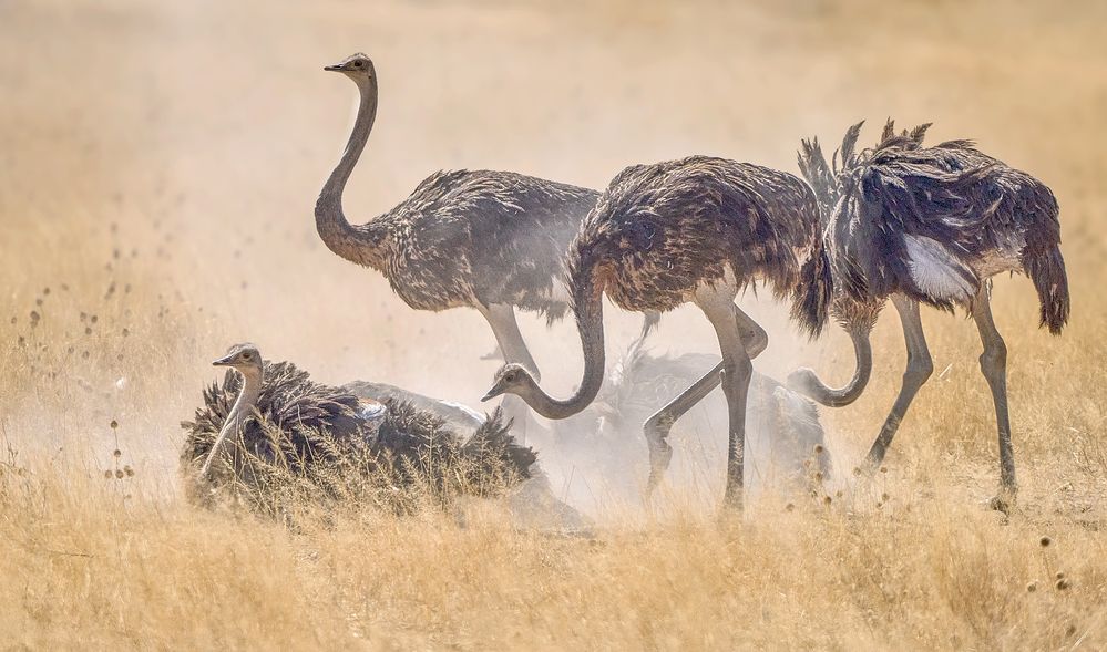 Photograph by Boris Bekelman