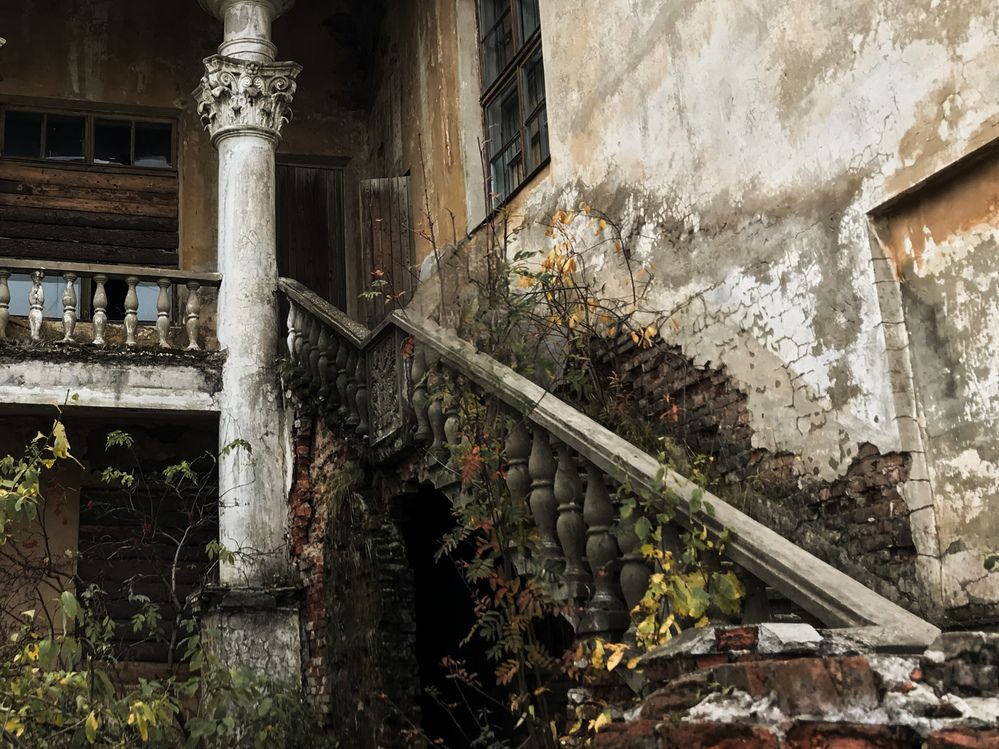 Photograph by Анастасия Конина