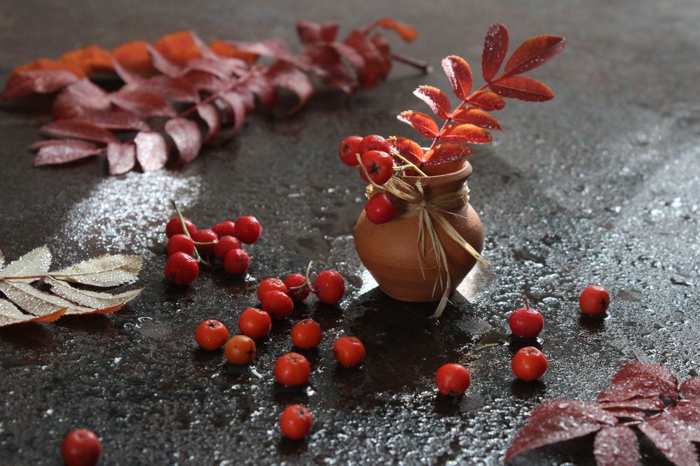 Photograph by Сироткина Нина