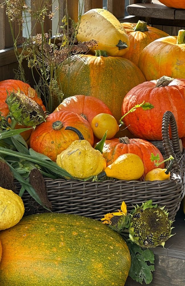 Photograph by Svetlana Tolkunova