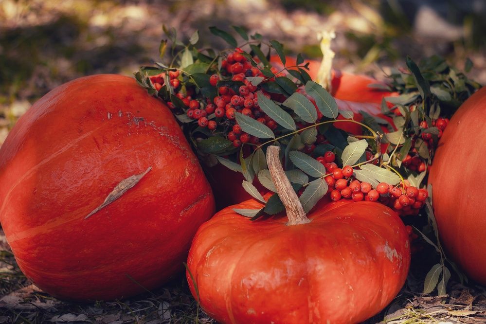 Photograph by Елена Ибрагимова