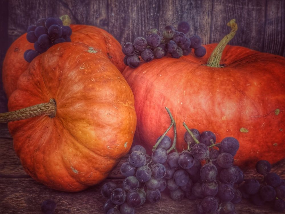 Photograph by Елена Ибрагимова