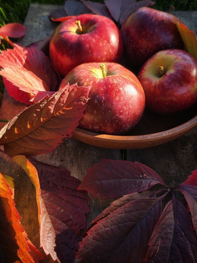 Photograph by Елена Ибрагимова