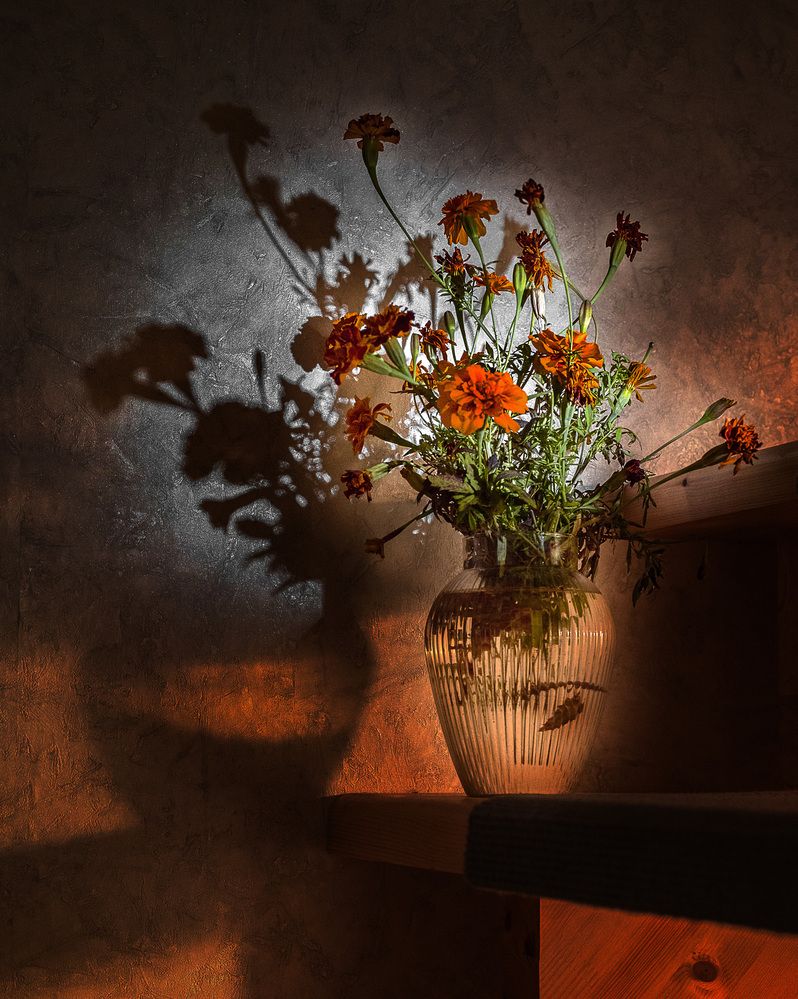 Photograph by Марина Леоненко