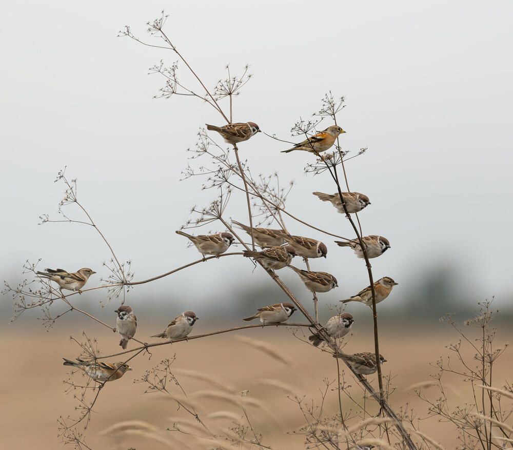 Photograph by Александр Белов