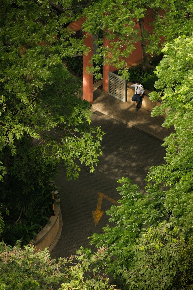 Photograph by Ngọc Phú Nguyễn