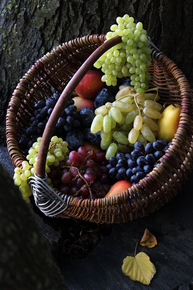 Photograph by Татьяна Сычёва