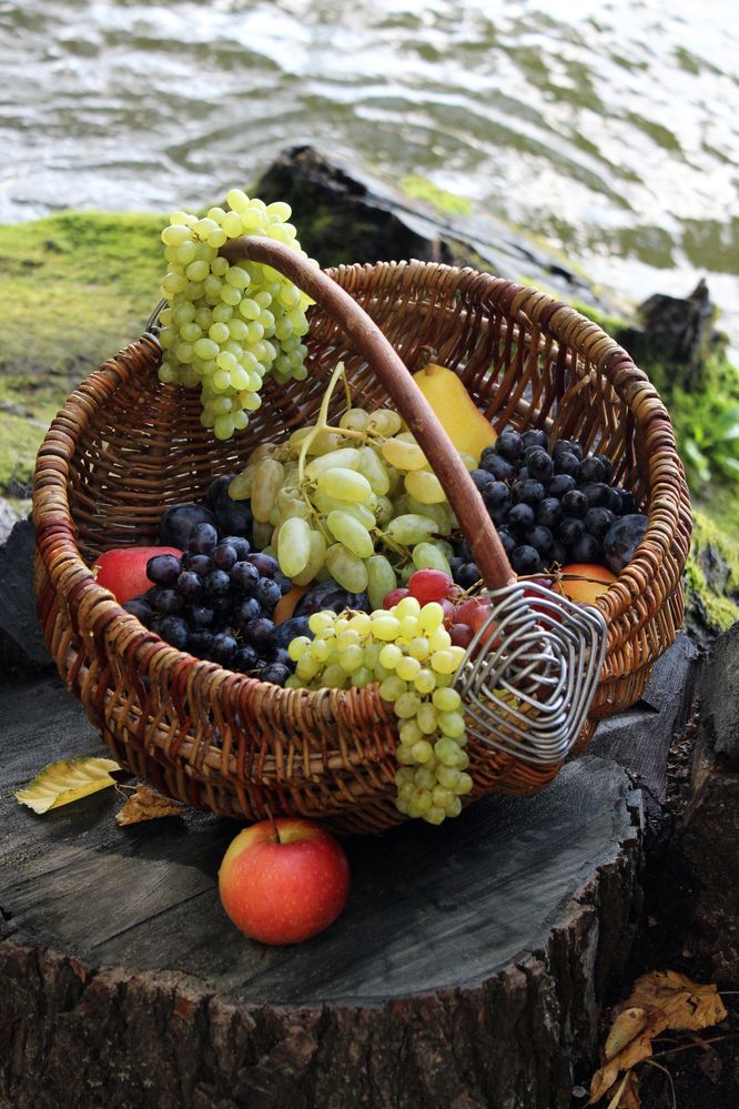 Photograph by Татьяна Сычёва