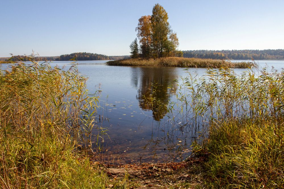 Photograph by Vladlen