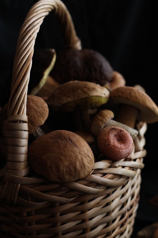 Photograph by Любовь Иванова