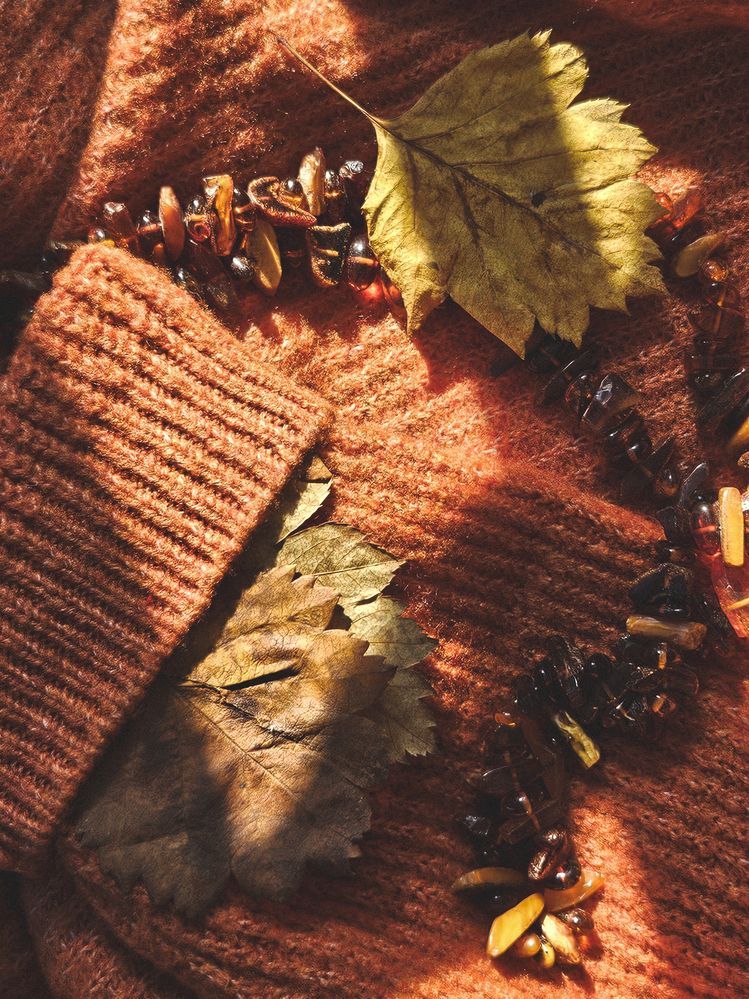 Фотография автора Зиля Раевских