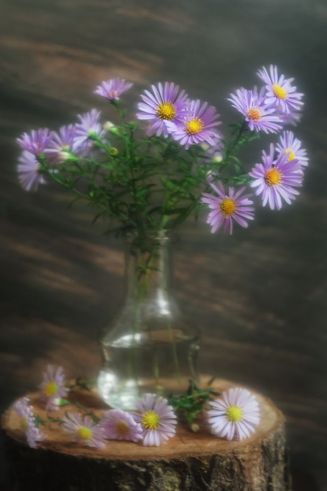 Photograph by Владимир Тузлай