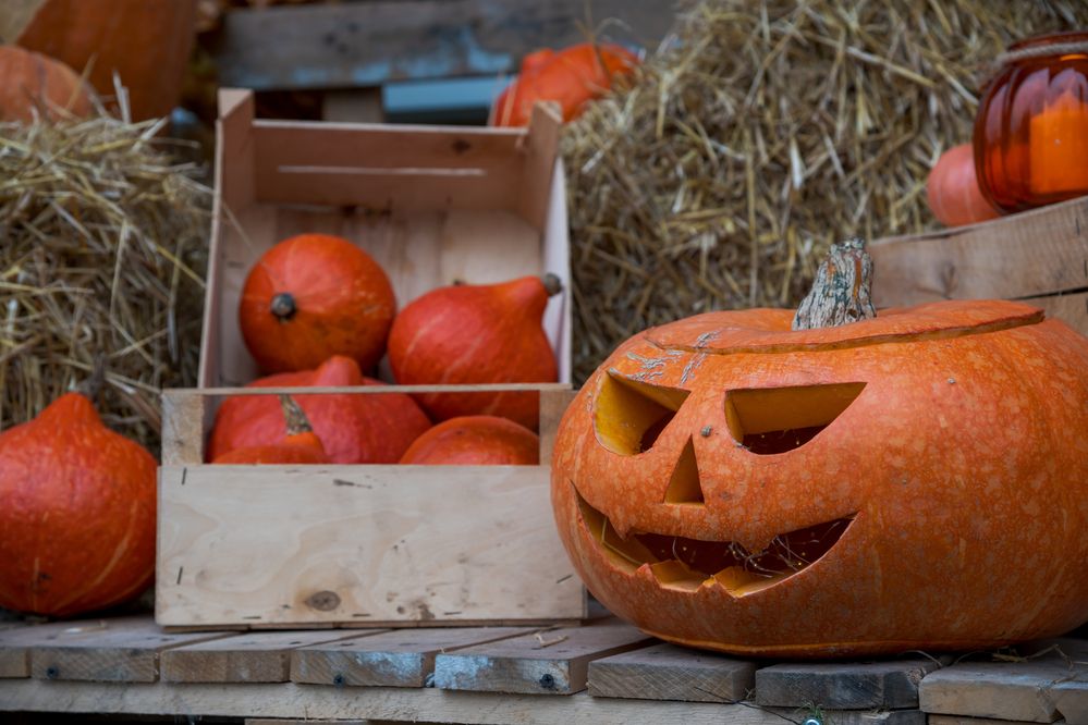 Photograph by Рыков Андрей