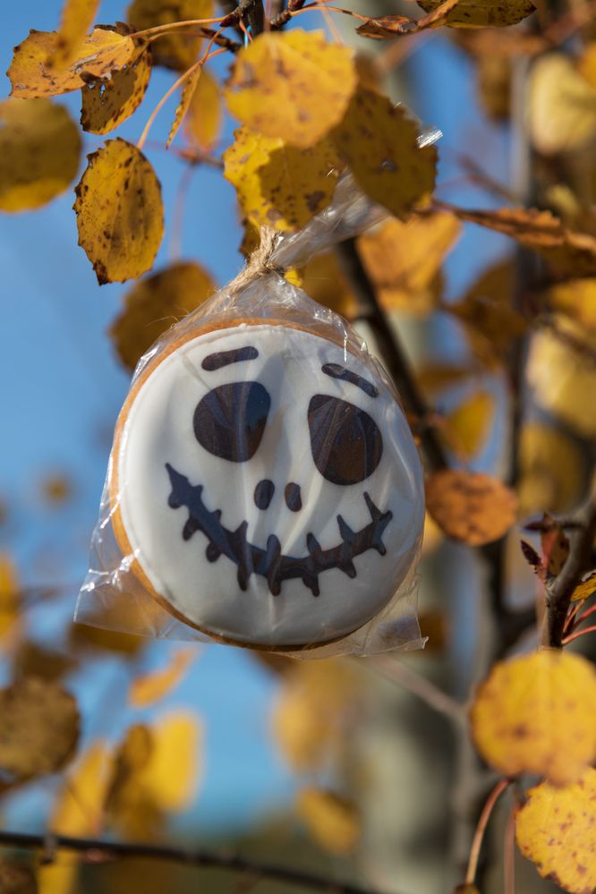 Photograph by Рыков Андрей