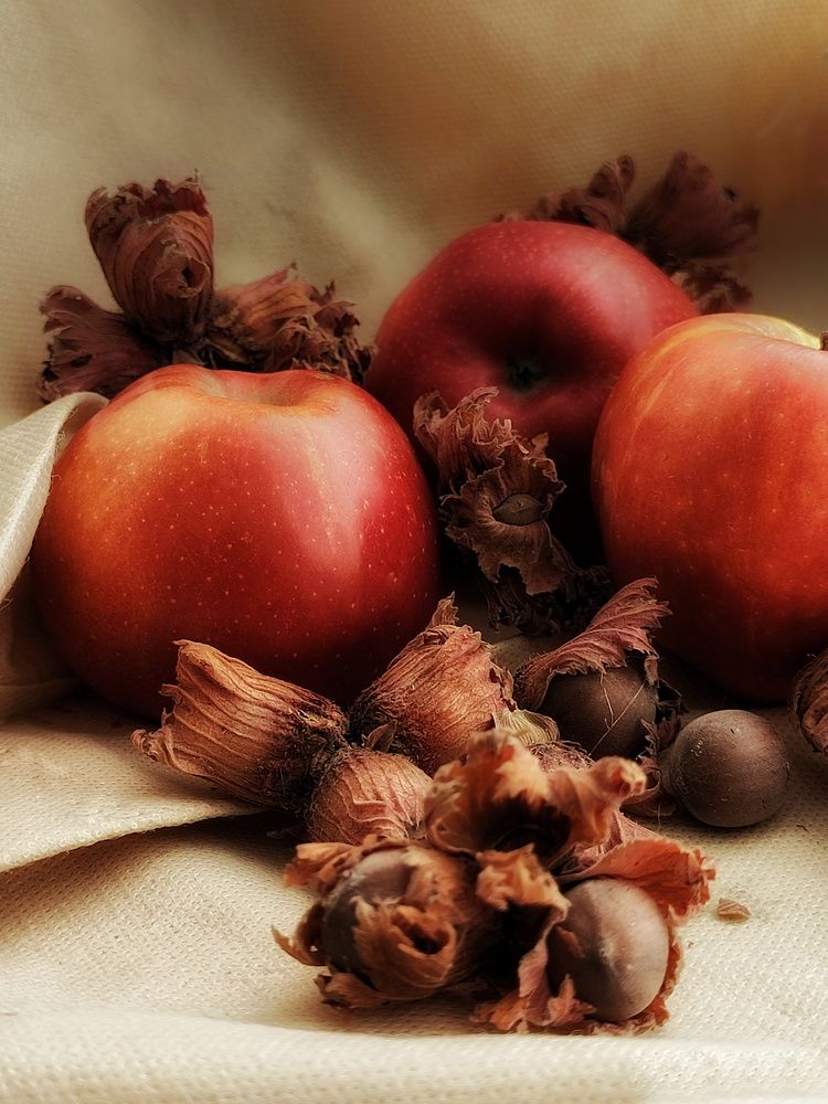 Photograph by Хоменчук Людмила