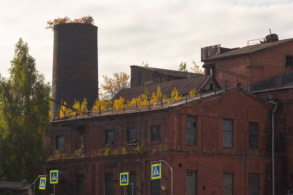 Photograph by Чистякова Валерия