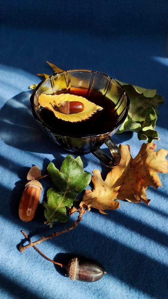 Photograph by Хоменчук Людмила