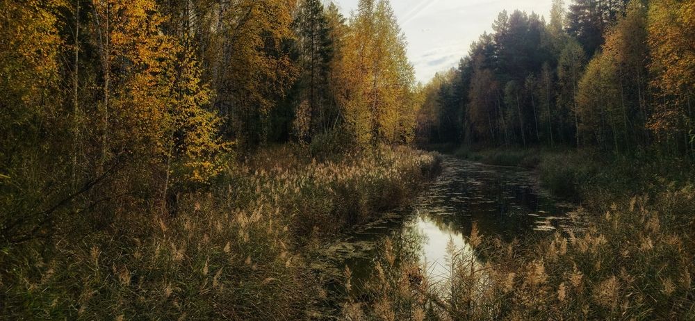 Photograph by Ирина Сушко