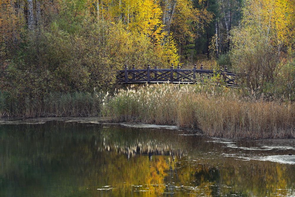 Photograph by Ирина Сушко