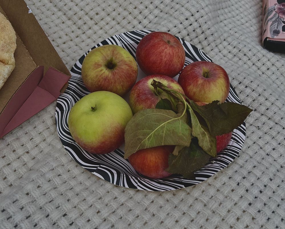 Photograph by Динара Dinara