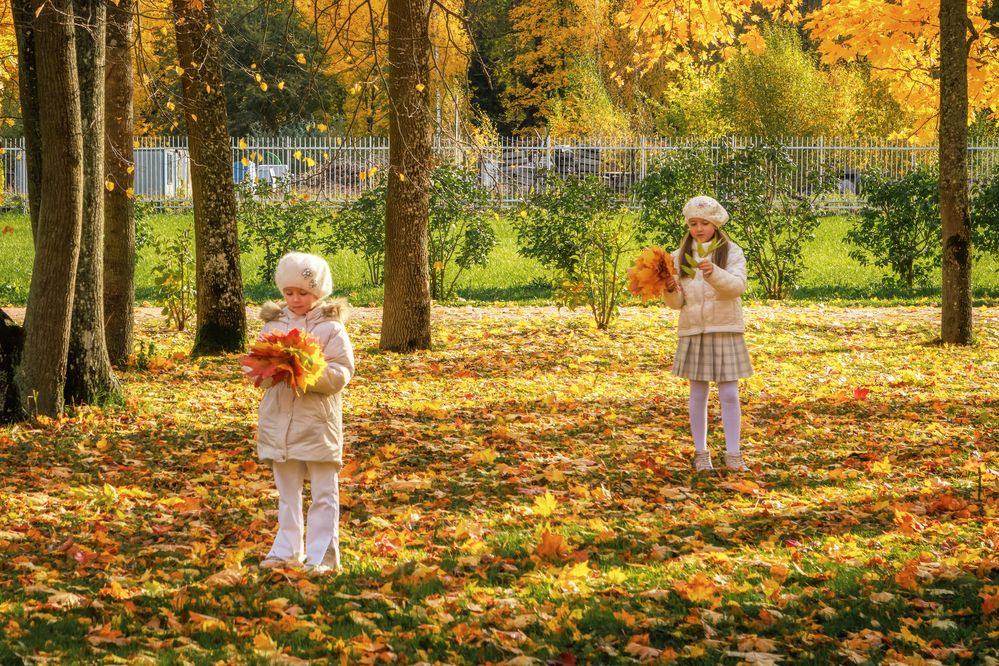Photograph by Владимир Колесников