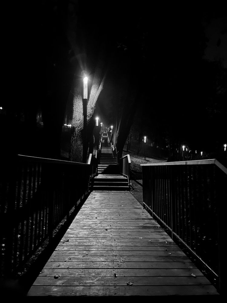 Жизнью, где много света, но и тени много.