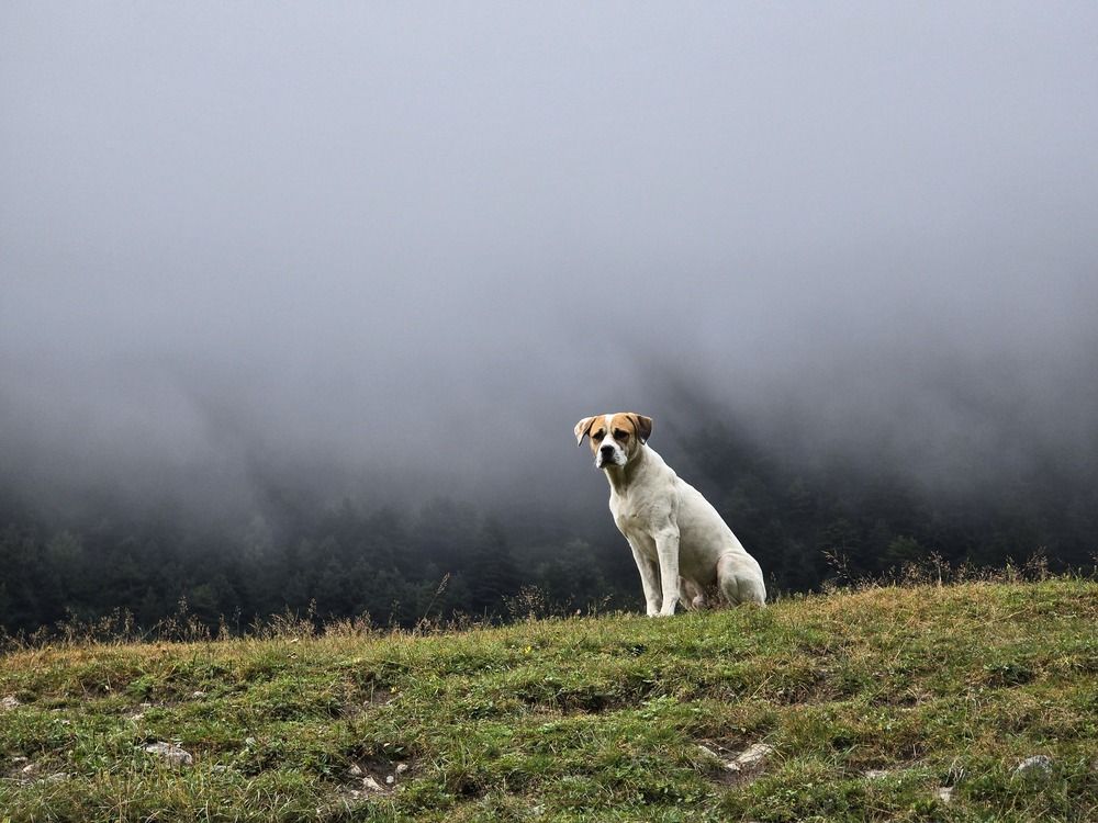 Photograph by Кирилл Ермоленко