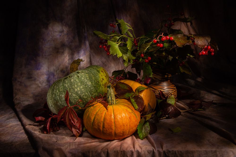 Фотография автора Алексей Буданцев