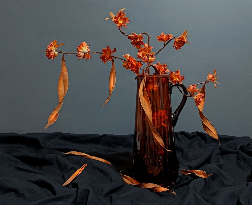 Photograph by hasan sorena jouri