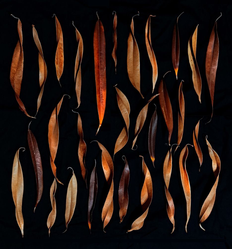 Photograph by hasan sorena jouri