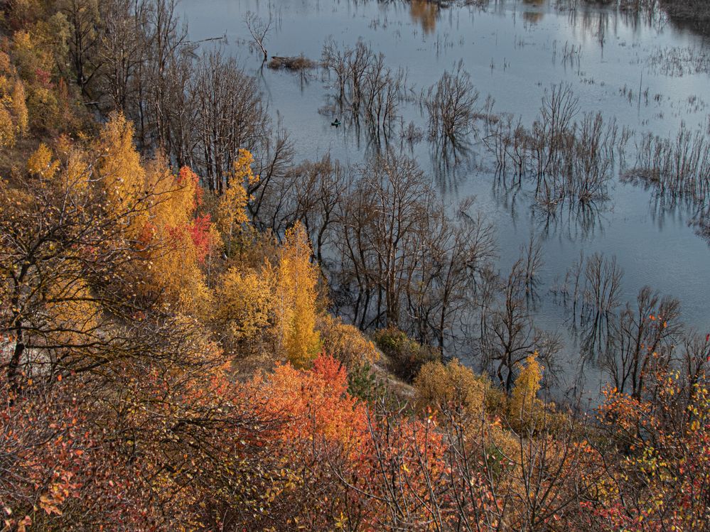 Photograph by Дмитрий Давидов