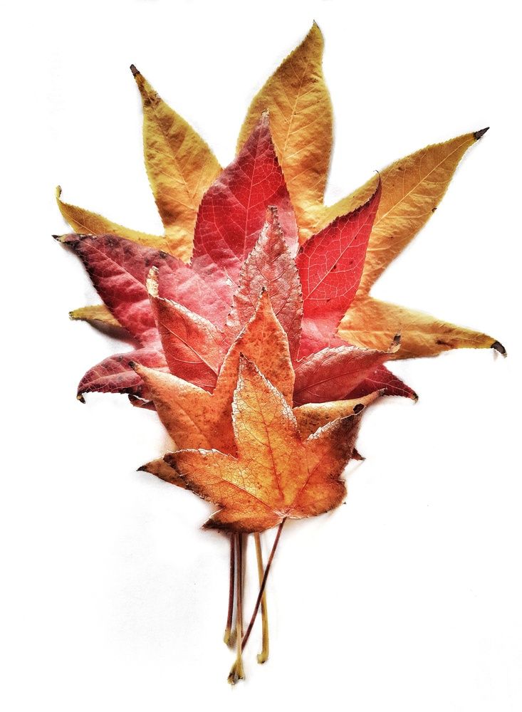 Photograph by Roberto Hagemann