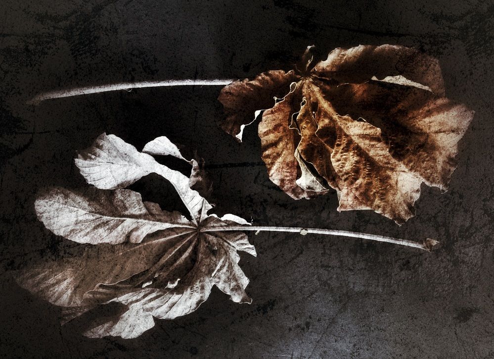 Photograph by Roberto Hagemann