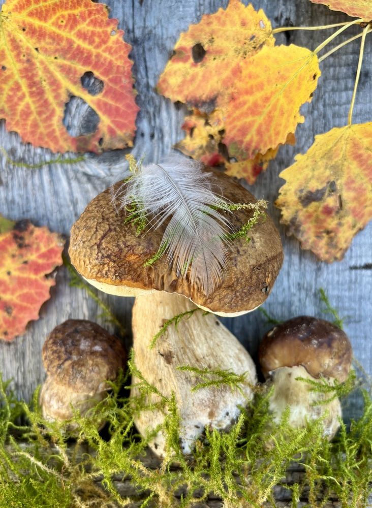 Photograph by Шаргородская Марина