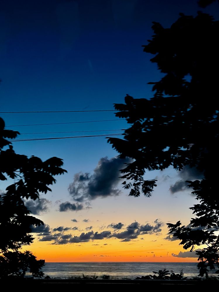 Photograph by Elizabeth B.