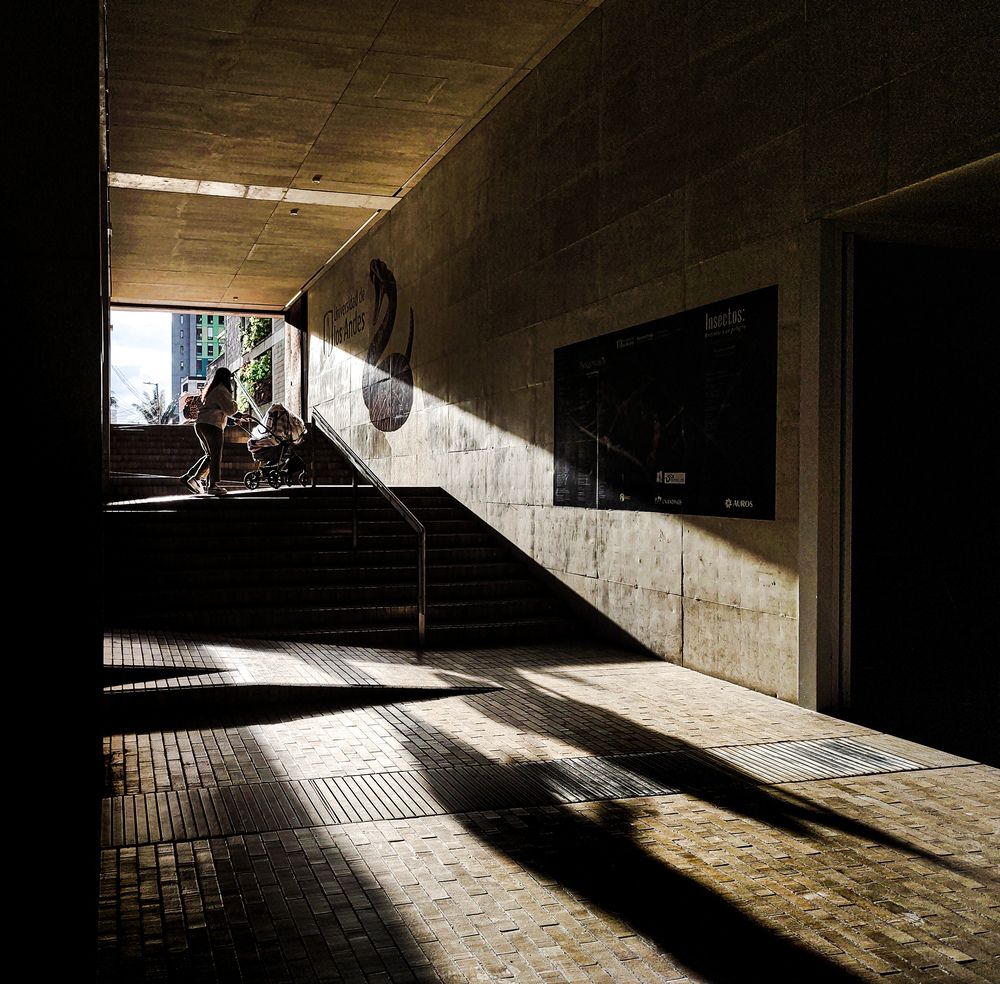 Abajo en las sombras