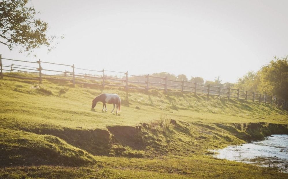 Photograph by Ольга Антонова