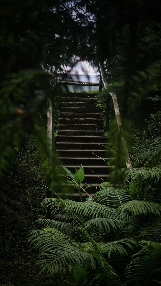 Укромное местечко